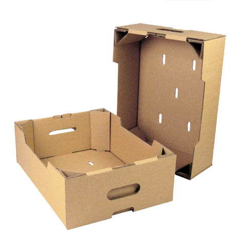 Гофролоток для ягід 573х370х95 мм